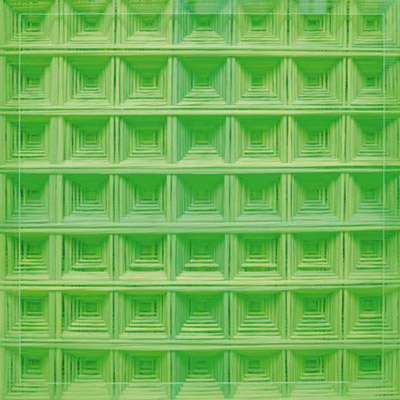<b>Perfect Bifurcation (Green)</b>, 2010<br>Nylon fabric on canvas<br>90 x 90 cm - 35.4 x 35.4 in.