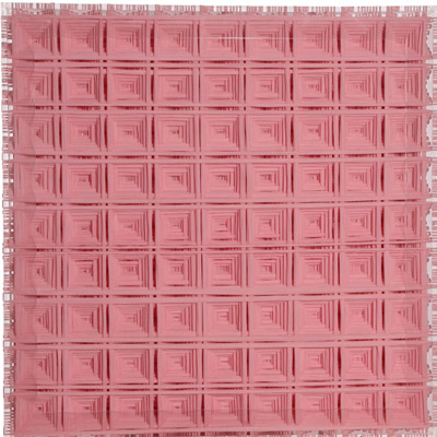 <b>Perfect Bifurcation - Pink</b>, 2010<br>Nylon fabric on plexiglass<br>90 x 90 cm - 35.4 x 35.4 in.
