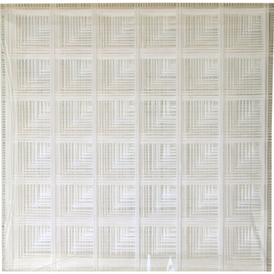 <b>Biforcazione catastrofica</b>, 2001<br>tessuto nylon su teca in plexiglas<br>90 x 90 x 9 cm